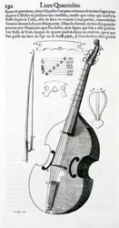 ヴィオラ、1636